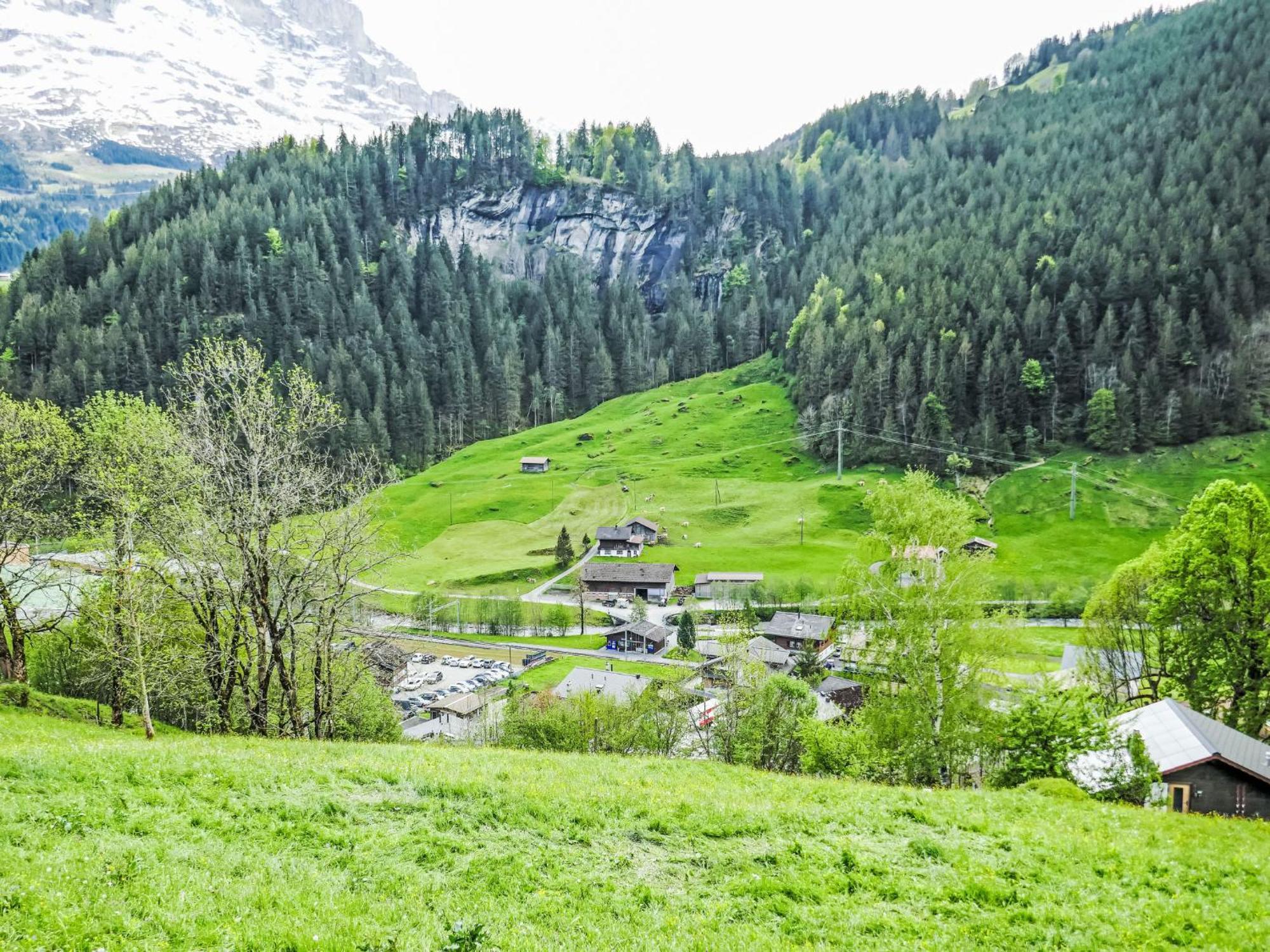 Apartment Chalet Auf Dem Vogelstein-1 By Interhome Grindelwald Buitenkant foto